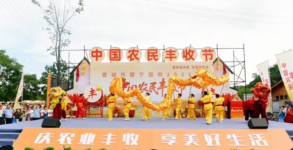 中国农民丰收节活动策划与执行
